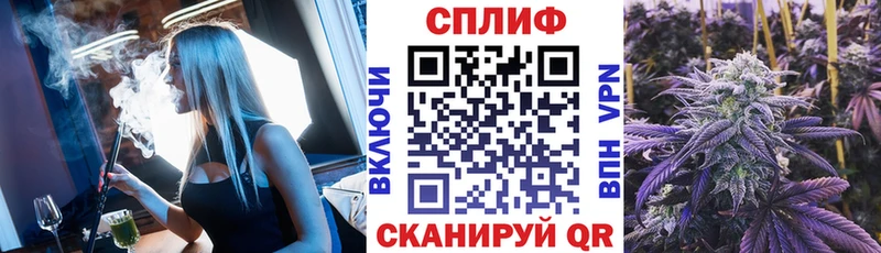 Канабис ГИДРОПОН  где продают наркотики  Северск 